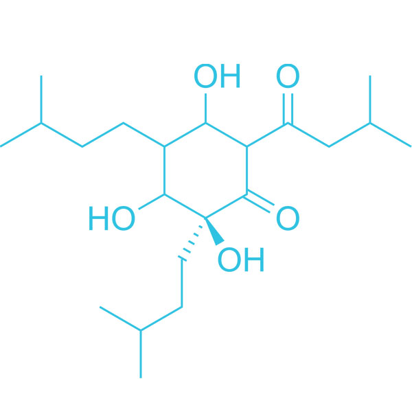 Humulus Molecule